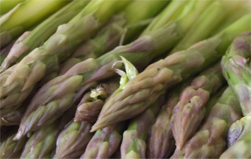 asparagi