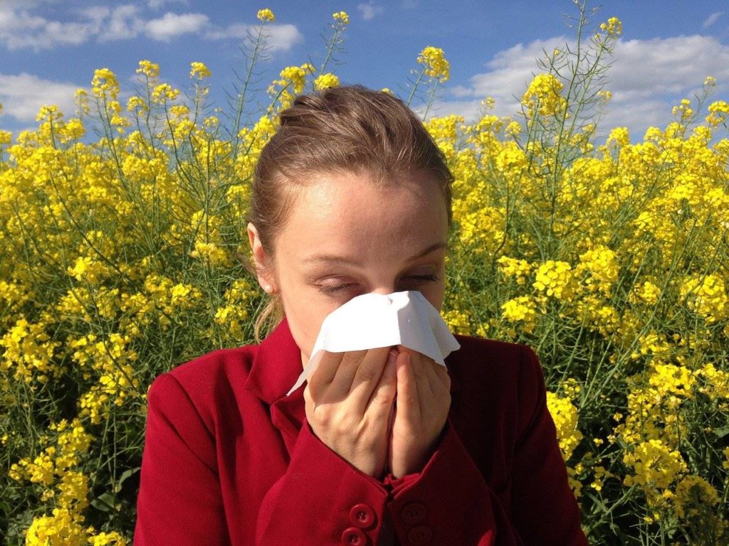 allergia ai pollini
