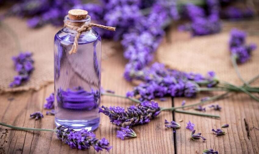 olio essenziale di lavanda